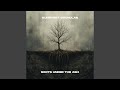 Cold Hands of the Quiet Earth