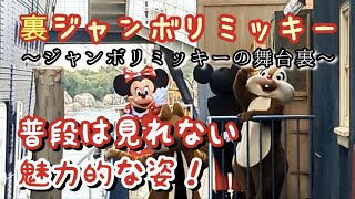 ディズニーシー　裏ジャンボリミッキー！ミッキー達の舞台裏🎵ステージでは見られないファンサを独り占め！　【気ままに大人ディズニー】