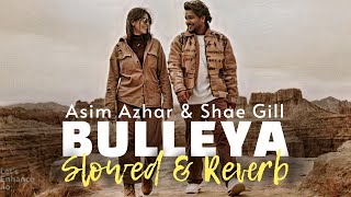 Asim Azhar & Shae Gill - Bulleya (Slowed & Reverb) - Heart Snapped
