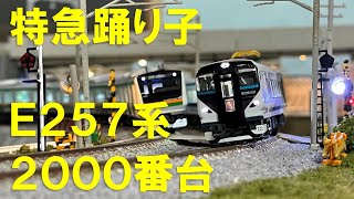 ＜Nゲージ＞E257系2000番台 特急『踊り子』＆E233系3000番台　Modellbahn Spur N Model Railroad 鉄道模型