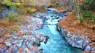 中津川渓谷(裏磐梯紅葉) FUKUSHIMA JAPAN