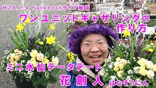 ミニ水仙テータテートで春を呼ぶ寄せ植え【ワンユニットギャザリングの作り方】25分53秒／花創人ガーデニング教室