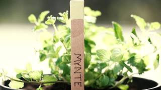 DIY herb labels using a Dremel® Versatip - EN