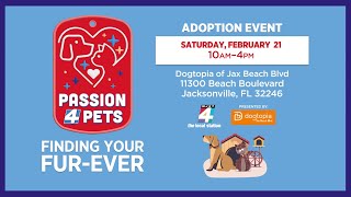 Find Your Furry Best Friend at Passion 4 Pets – Feb. 21
