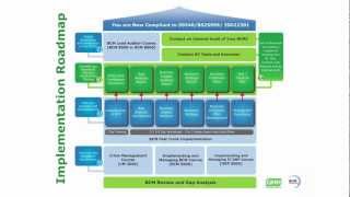 Implementation Roadmap - BCM Institute