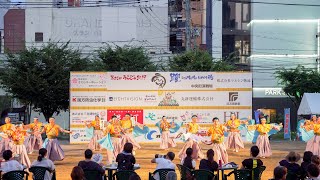 [4K] まるぐ　うらじゃ 2019　中央町下田町公園ナイト演舞場