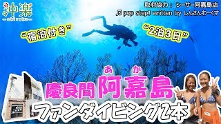 慶良間諸島「阿嘉島」2泊3日宿泊付きファンダイビング2本★シーサー阿嘉島店【沖楽】