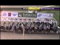 2014 Fair Grounds QH Racing Report: Episode 1