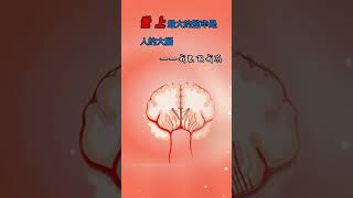 世上最大的监牢是人的大脑【我思故我在】 #人生感悟 #人生 #感悟