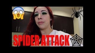 SPIDER ATTACK CAUGHT ON CAMERA! BIGGEST YOUTUBE FAIL EVER!!! - Salice Rose