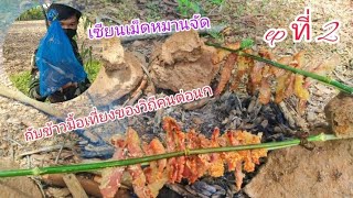 ต่อนกเขาใหญ่กินข้าวป่าภูเขาสระบุรีกับ #ทีมงานนกเขาใหญ่สายเมืองปทุม