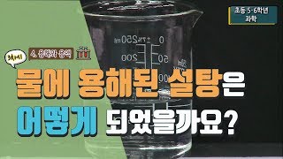 [초등 과학 5-1] 4. 용해와 용액  - 3차시 물에 용해된 설탕은 어떻게 되었을까요?