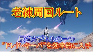 【PSO2NGS】老練周回ルートを紹介！これでドレド・キーパを効率入手【ファンタシースターオンライン2/PHANTASY STAR ONLINE 2 NEW GENESIS】