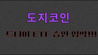 [도지코인] 드디어 ETF 승인 임박!!!