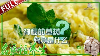 《名医话养生》阳台上随吃随摘的植物？能让人心情愉悦还防虫？【东方卫视官方高清】