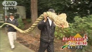 来年の干支を境内に　ヘビのしめ縄を奉納　栃木(12/11/11)