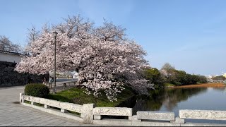 福岡城(福岡県福岡市)　 黒田如水・長政親子が築いた九州一巨大な城。