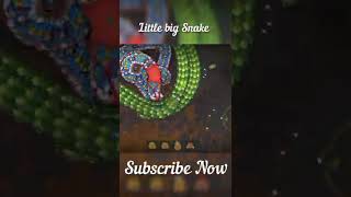 Littlebigsnake.io 🐍 | Little Big Snake Gameplay 💪 #technosapera #snake #games #littlebigsnakeio 02
