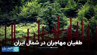 زنگ خطر مهاجرت به شمال ایران به صدا درآمد