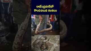 రాజేంద్రనగర్‌లో కొండచిలువ కలకలం - TV9