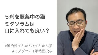 9歳、特発性てんかんの猫。現在、5種類の薬とタウリンを服用中。鼻に噴霧するミダゾラムは口から投与しても大丈夫？