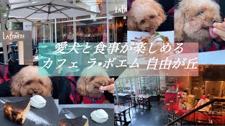 愛犬と食事が楽しめる　カフェ　ラ•ボエム　自由が丘