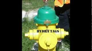 Hydra Tag