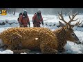 polar deer injures millions of bees । rescue team steps in to save the day polarbear wildlife