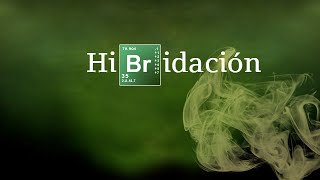 ¿QUÉ ES LA HIBRIDACIÓN? | Química Básica