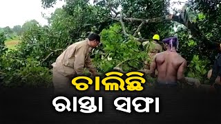 ଟିକେ କମିଲା ବର୍ଷା | Odisha Reporter