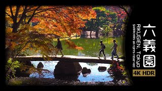 【4K HDR】日本庭園　六義園の紅葉　Japanese garden \