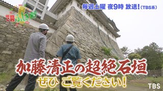 ハリー･杉山が加藤清正の超絶石垣に大興奮!!『世界ふしぎ発見!』6/19(土)オフショット【TBS】