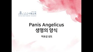 (20191215) 아현감리교회 주일예배 특송 'Panis Angelicus' 허요섭 성도