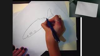 Telequarium: "Lesser-Known Sharks" (#SundayFishSketch Draw-Along)