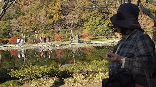 秋の紅葉散歩　国営昭和記念公園　2018.11.21