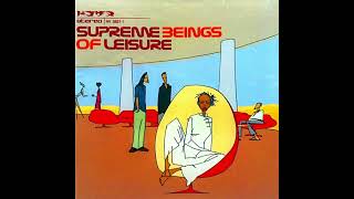 Supreme Beings Of Leisure - Never The Same (432hz)