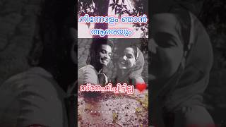 നിന്നോളം ഞാൻ lovestatus||subscribe more quotes #sadstatus #shorts #malayalamquotes #ponnusquotes