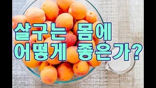 살구(Apricot)의 효능