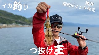 【イカ釣り】つ抜け王　福井のつ抜けスポット