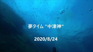 冠島DIVE LOG 2020/8/24