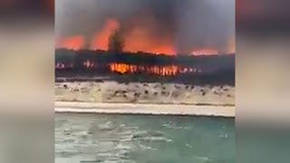 Incendi in Francia: Gironda brucia, le fiamme alte decine di metri viste dal mare