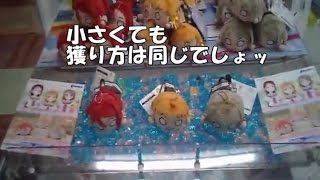 寝そべりぬいぐるみはどのサイズもかわいい