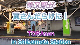 【東京の名所】 「寅さんのいる柴又」柴又駅が寅さんだらけに！葛飾区柴又 男はつらいよ50【TOKYO】「TORAsan」Shibamata Station JAPAN 2021.03 葛飾柴又