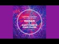 Lee Burridge & Lost Desert ft. Ben W. Smith - Moogami + Saint Francis Peace Prayer (Mashup)