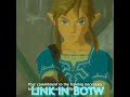 Botw & TP Link edit || The Legend of Zelda #thelegendofzelda #botw #twilightprincess #shorts #short