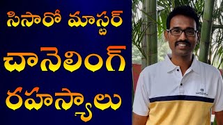 సిసారో మాస్టర్ చానెలింగ్ రహస్యాలు l Venkatesh l Lightworkers TV