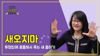 (국민결재 부탁드립니다) 당신의 삶을 바꿀 새오지마 정책