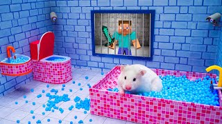 Amazing Mr Hamster Stuck In Handmade Pool Maze Challenge | Hamster Life
