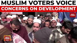 Delhi's Muslim-Dominated Seats: Decoding Development Concerns Vs Religious Sentiments In Elections