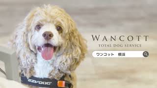 犬とのよりよい暮らしが見つかる、WANCOTT